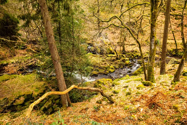 Peak District Brandord Edge Ulusal Parkı Sabah Yürüyüşü 2021 Nisan