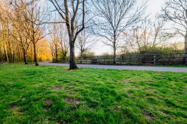 İngiltere 'deki gölde gün batımına hayran kaldım.