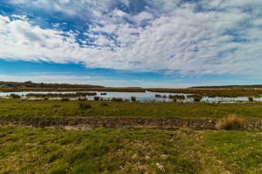 İngiltere, Holkland Sahili, Kuzey Denizi 'nde sahilde yürüyorum.