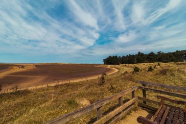 İngiltere, Holkland Sahili, Kuzey Denizi 'nde sahilde yürüyorum.