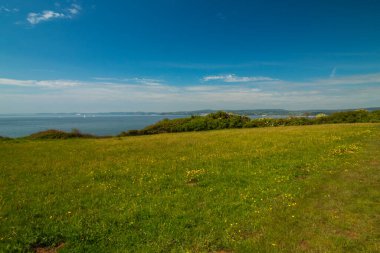 Bu yıl İngiltere 'nin Exmouth şehrinde bir tepe gezisi