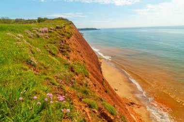 Bu yıl İngiltere 'nin Exmouth şehrinde bir tepe gezisi
