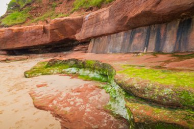 Exmouth Sahili, sabah sular çekilince.