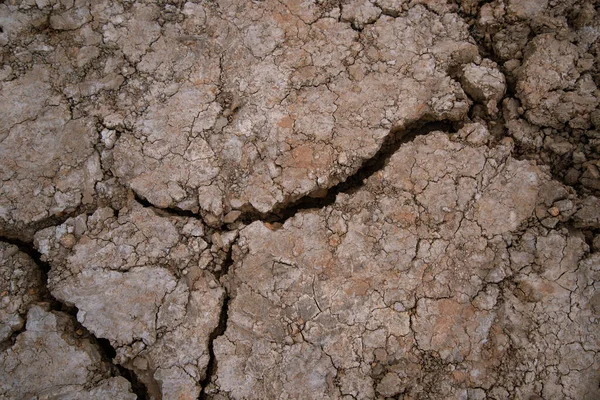 Mud background. The texture of cracks and pieces of earth. Path in the village.