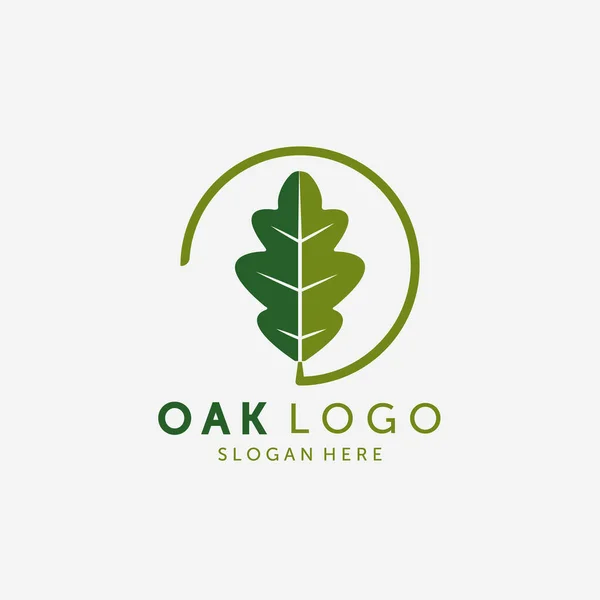 Emblem Oak Leaf Logo Vector Design Vintage Illustration Healthy Logo — ストックベクタ
