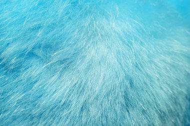 mavi kürk, arka plan, doku