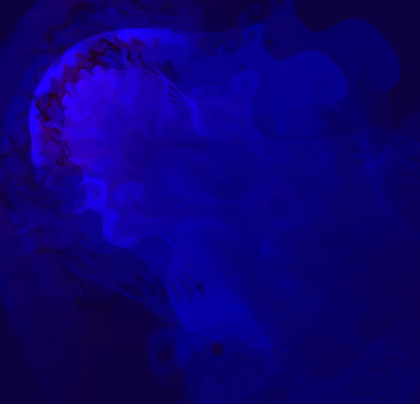 海の青クラ ゲに似ている抽象的なスプレー。フラクタル アート グラフィックス. — ストック写真