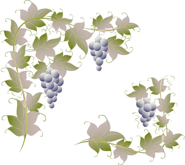 Patrón de uvas de vid para la decoración de la página. Ilustración vectorial EPS10 — Archivo Imágenes Vectoriales