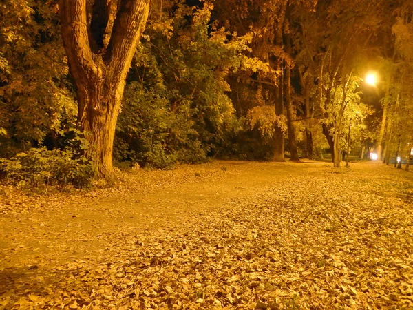 Herbstlandschaft in der Stadt Tomsk in Sibirien — Stockfoto