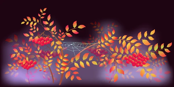 Outono Paisagem com teias de aranha e gotas de orvalho. Ilustração do vector EPS10 —  Vetores de Stock
