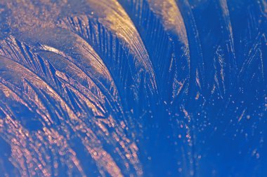 Gün batımında penceresinde ince buz buz gibi buz gibi süslü tasarlamak