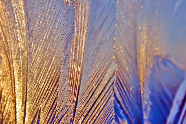 Gün batımında penceresinde ince buz buz gibi buz gibi süslü tasarlamak