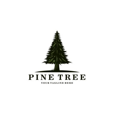 Çam Ağacı logo vintage illüstrasyon tasarımı