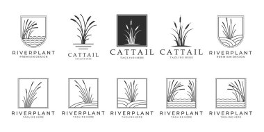 Cattail logo bohça vektör illüstrasyon tasarımı, cattail simgesini ayarla.