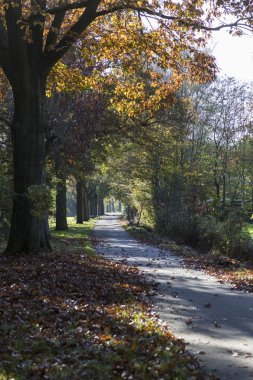 Tek toprak yol sonbahar manzara