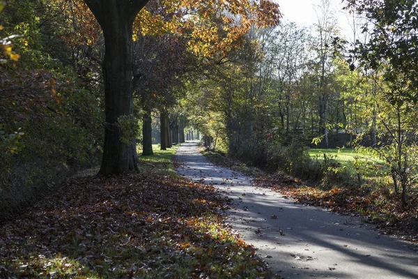 Einzelne Landstraße Herbstlandschaft — Stockfoto