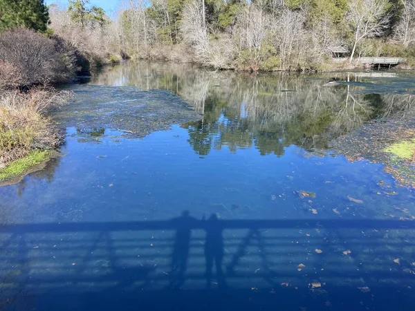Reflexion Magnolia Spring State Park — Stockfoto