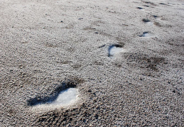 Pegadas geladas na areia — Fotografia de Stock