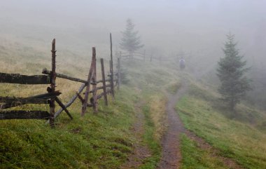 Ormanda ahşap çitler