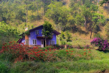 Ma basamak Lu Quan Da Lat, Vietnam için evde mor