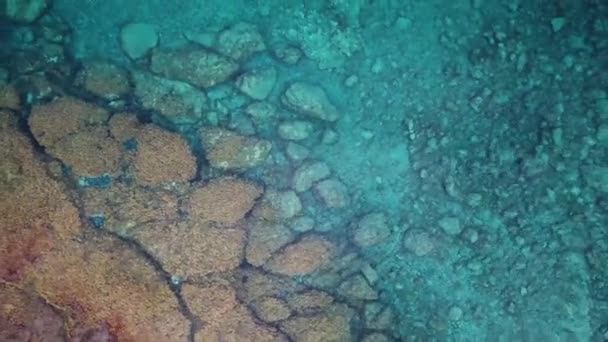 Kleurrijke Koraalrif Van Bovenaf Met Helder Blauw Water Drone Beelden — Stockvideo