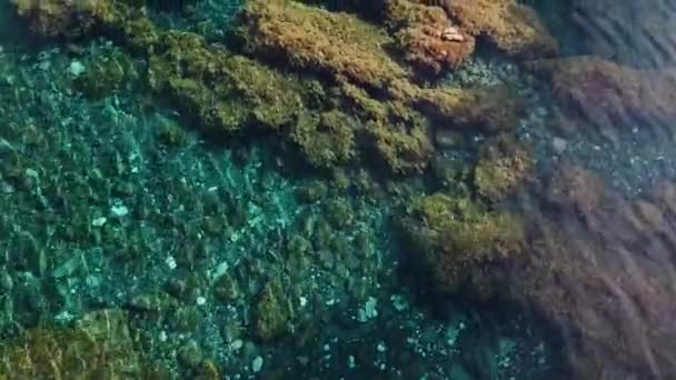Koraalrif Met Helder Blauw Water Vanuit Drone Zicht Vanuit Lucht — Stockvideo