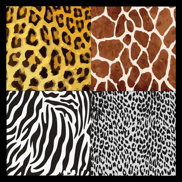 Illustration with set of leopard, giraffe and zebra skin texture — Stock Vector