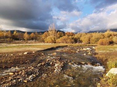 Paisaje de otoo en la montaa de Navacerrada