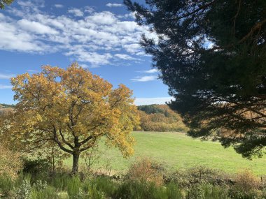 Madrid dağlarının sonbaharda manzarası