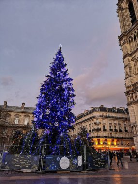 Paris meydanı, gece yılbaşı ağacı.