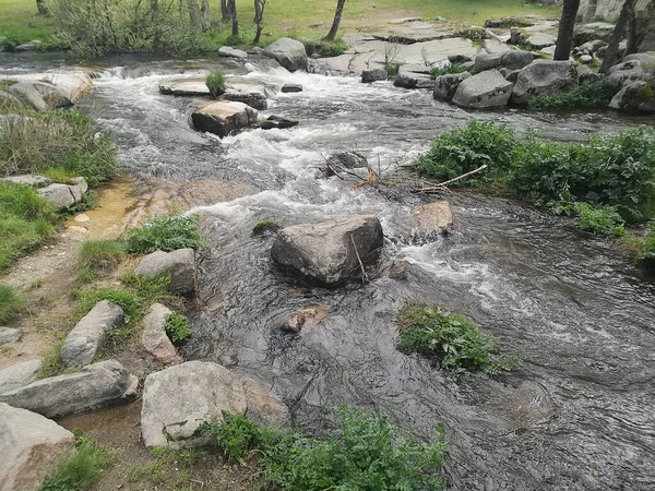 Речной Поток Воды Лесу — стоковое фото
