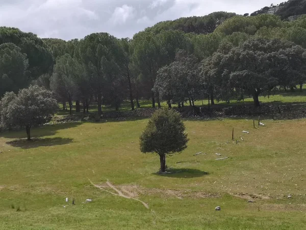 Mediterranean Forest Environment Mountains — Stock Fotó