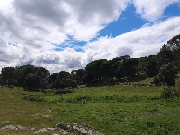 Mediterranean Forest Environment Mountains — Foto Stock