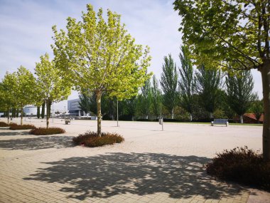 Güneşli bir bahar gününde Üniversite Kampüsü Bulvarı