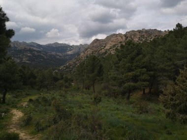 Madrid dağları ve ormandaki ağaçlar