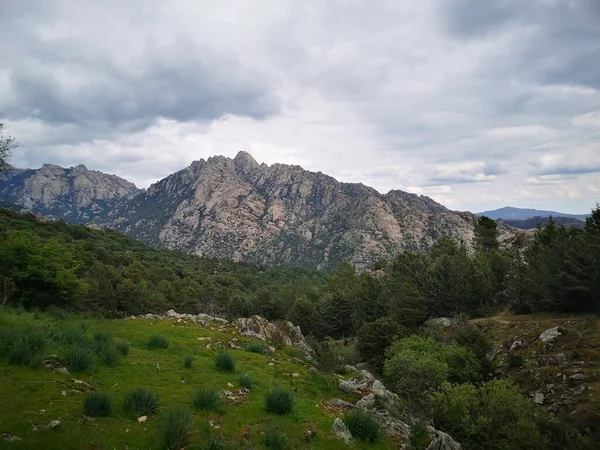 Горы Мадрида Леса Лесу — стоковое фото