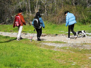 Köpekleri gezdirme tarzı