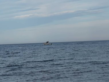 Akdeniz 'in sakin denizi