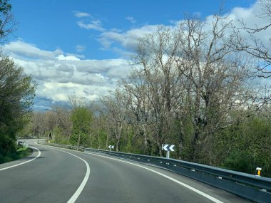 Trees and cloudy sky near Madrid