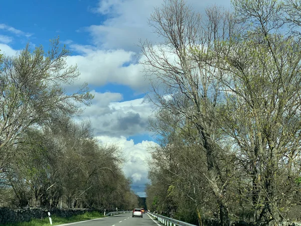 Trees Cloudy Sky Madrid — Zdjęcie stockowe