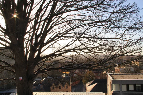 Oxford Vistas Ciudad Detrás Árbol — Foto de Stock