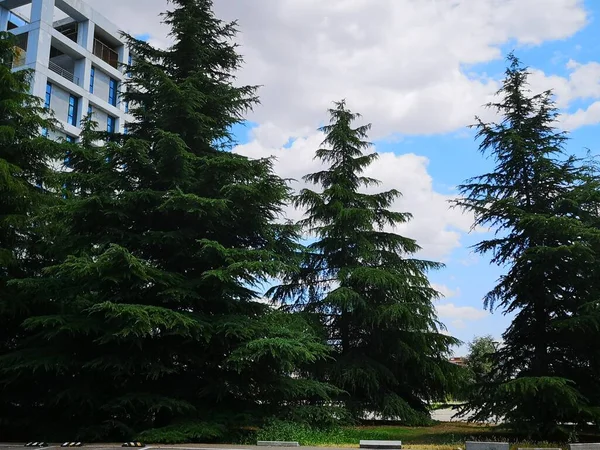 Bewolkte Lucht Mostoles Zuid Madrid — Stockfoto