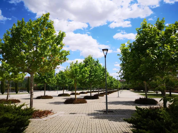 Weg Met Bomen Mostoles Zuid Madrid — Stockfoto