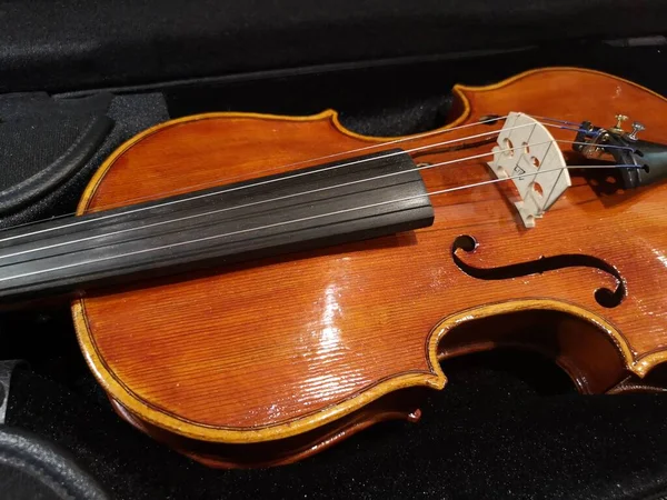 Красивая Скрипка Музыкальный Инструмент Подробно — стоковое фото