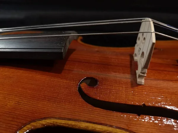 Prachtig Viool Muziekinstrument Detail — Stockfoto