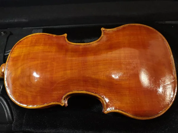 Красивая Скрипка Музыкальный Инструмент Подробно — стоковое фото