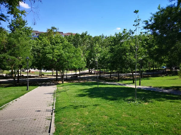 Léto Parku Jihu Madrid — Stock fotografie
