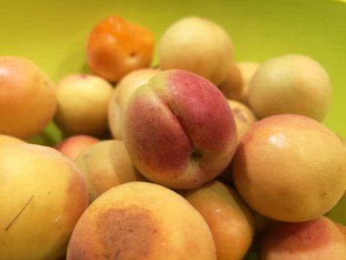 Bir sepet sağlıklı kayısı.