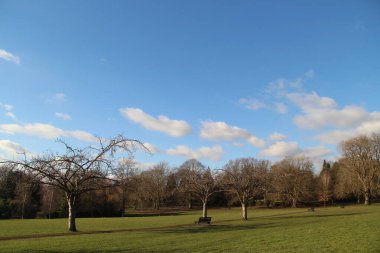 İngiltere 'nin güneybatısındaki Bath' da çayır bölgesi.
