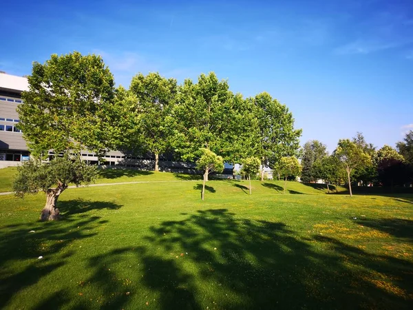 Jardín Del Campus Universitario Una Mañana Soleada — Foto de Stock